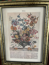 “April” Botanical Print R. Furber 6”x 8”